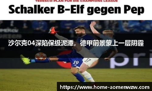 王中王官网资料