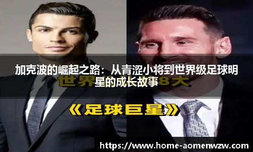 王中王官网资料